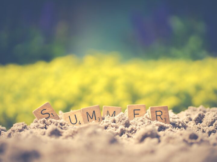 Summer exploring